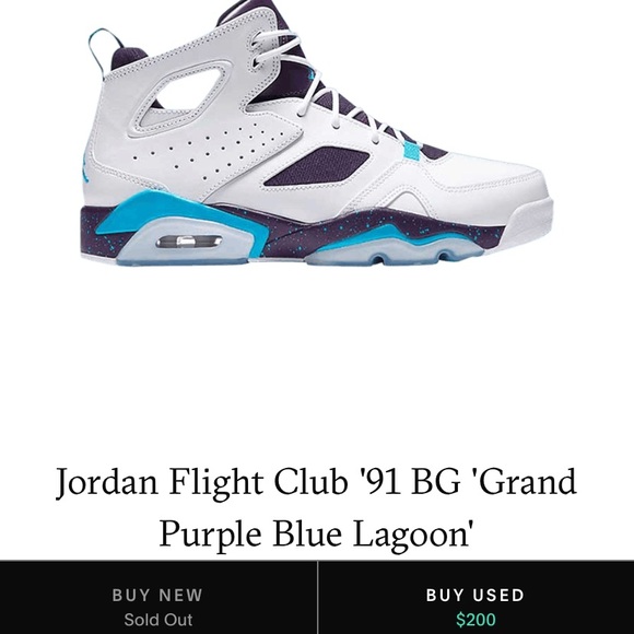 jordan flight club 91 purple